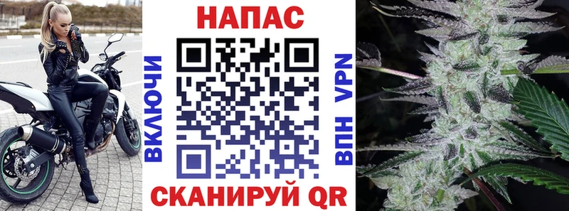 Купить  Яровое  Конопля AK-47 